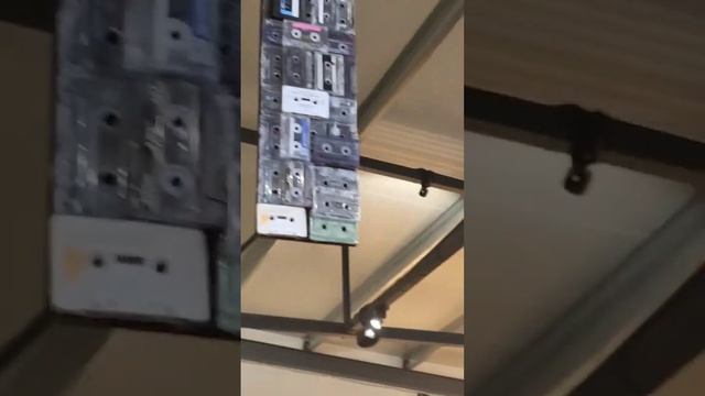 Калининградская обл. музей мусора смотреть онлайн