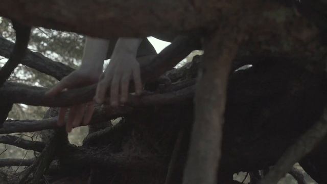 "Я такое дерево" / кинотанец смотреть онлайн