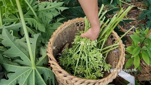 Robert's vegetable products sold out in 5 minutes. Green forest life (ep241) смотреть онлайн