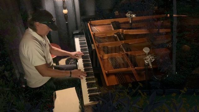 The Secret Garden In Your Heart - Michael Allen Harrison Solo Piano смотреть онлайн