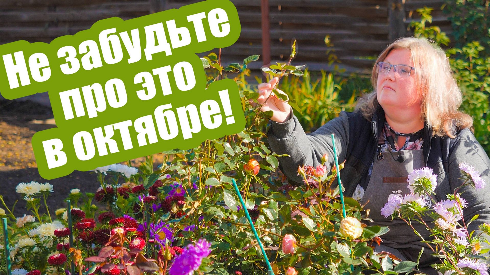 Успейте сделать это в октябре! Все работы в саду и огороде смотреть онлайн