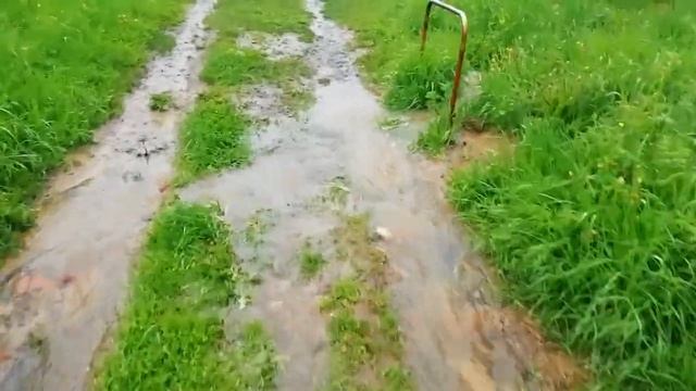 #мотобудни КАРТИНА РЕПИНА ПРИПЛЫЛИ😂🤘 смотреть онлайн