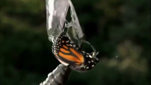 Фильм по саморазвитию, фильмы для духовного и личностного роста «Внутренние миры, внешние миры»