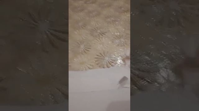 Отзыв о курсах смотреть онлайн