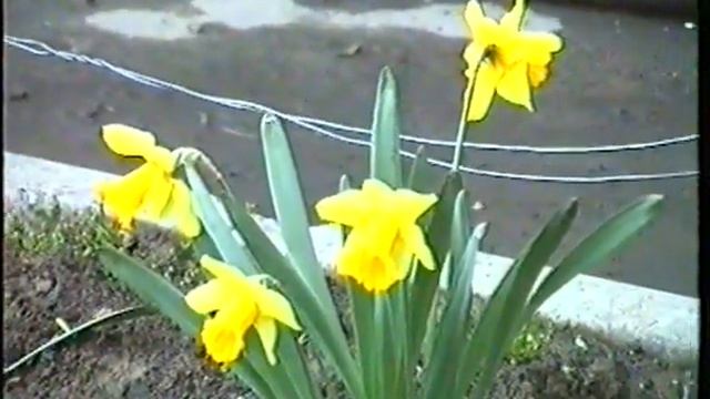 Дело было во дворе. п.Тульский 93г. смотреть онлайн