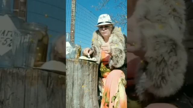 Гриппу "БОЙ" #липецкаяобласть #чаплыгин #сельскаяжизнь #раненбург #село #сельская #огороды смотреть онлайн