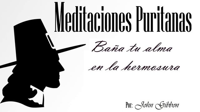 Baña tu alma en la hermosura - John Gibbon смотреть онлайн