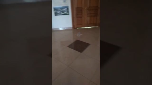 Орнитоптер смотреть онлайн