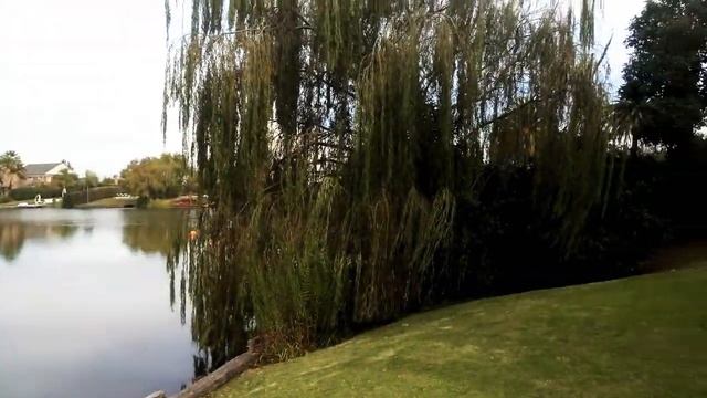 Complejo bahía смотреть онлайн