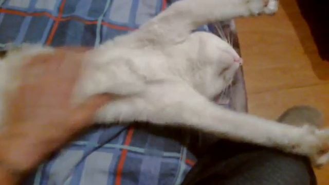 maciek смотреть онлайн