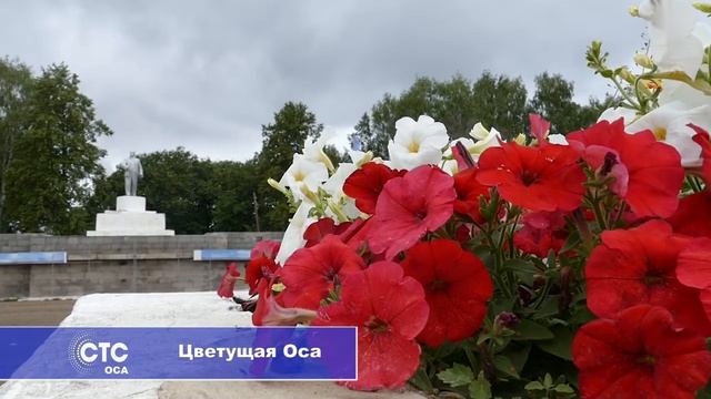 Озеленение города Оса смотреть онлайн