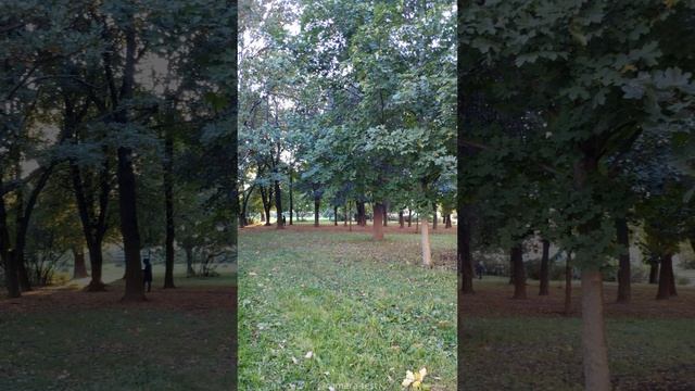 Xiaomi Mi Max 3 - тест камеры смартфона (примеры фото и видео)