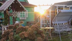 6 соток 2 октября 2024 года. Хроника.