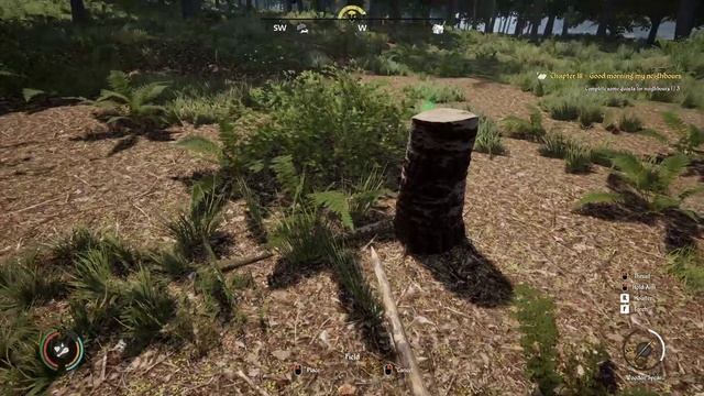 Medieval Dynasty: Episode 4 (Field Removal and Storage) смотреть онлайн