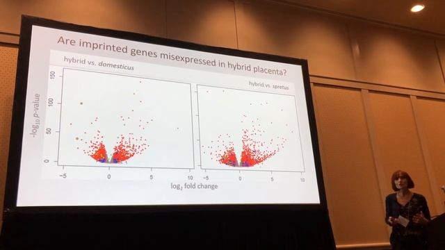 Campbell: Haldane's rule and placental misexpression in hybrid mice смотреть онлайн