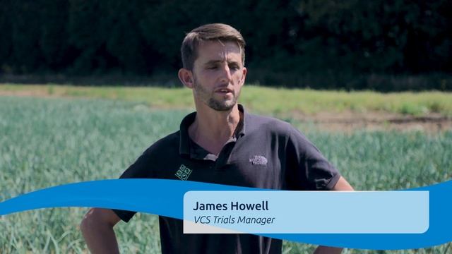 Diagnostic spore trapping pilot смотреть онлайн