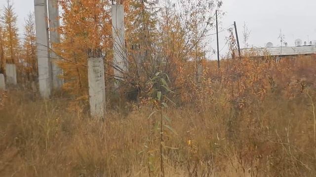 по Хандыге около бани смотреть онлайн