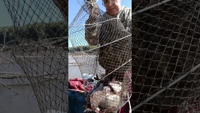 Улов за день на Кольцо. смотреть онлайн