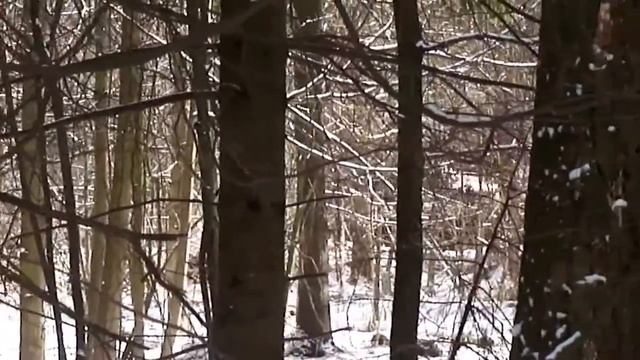 Катание на танке. Два молодых бойца на броне! смотреть онлайн