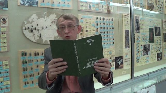 Экскурсия Энтомолога: О коллекциях жуков в Зоомузее в г.Киеве, Украина, Entomologist in Ukraine смотреть онлайн