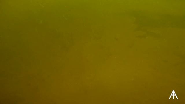 Hot Boat Cleanup - 2019 - Scuba diving for Mardi Gras beads! смотреть онлайн