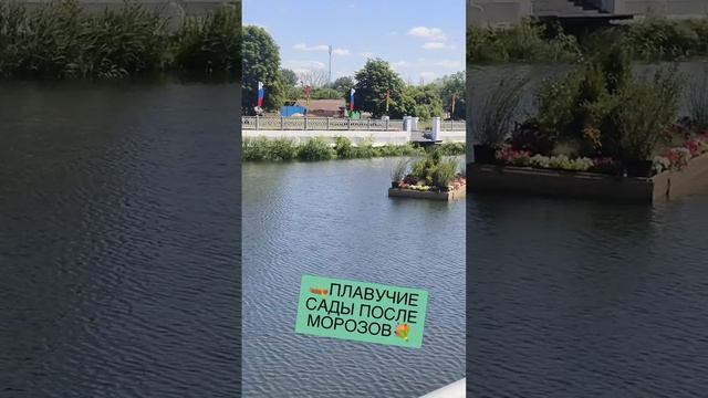 🛶ПЛАВУЧИЕ САДЫ ПОСЛЕ МОРОЗОВ💐 смотреть онлайн