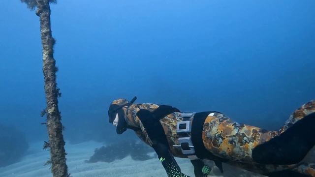 Новый Год под водой с АПДКС смотреть онлайн