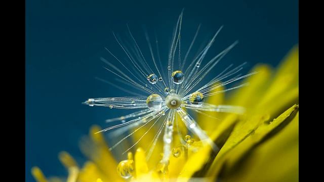 Спикерская Евгения. С онлайн Конвенции АП 08-09.08.2020. (Анонимные переедающие). Тема: "4-5 шаги" смотреть онлайн