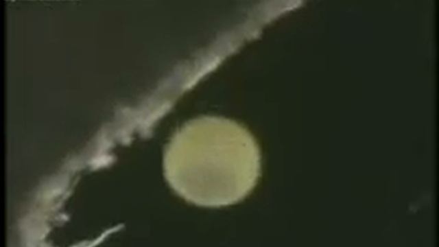 Опровержение теории Дарвина (Novie Musulmane)