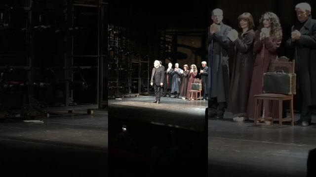 "Братья Карамазовы", МДТ, Додин, 26.05.2021, поклоны смотреть онлайн