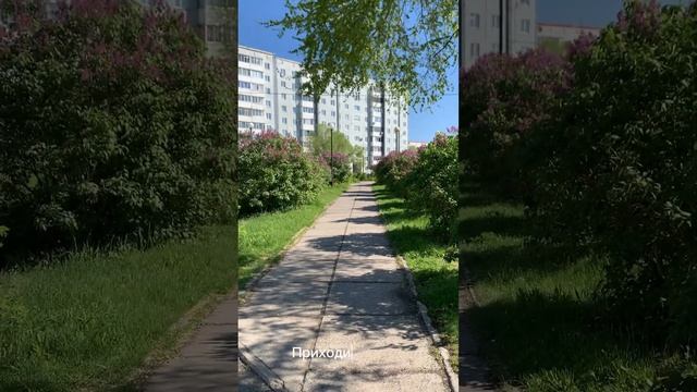 Саяногорск Хакасия Весна Май смотреть онлайн