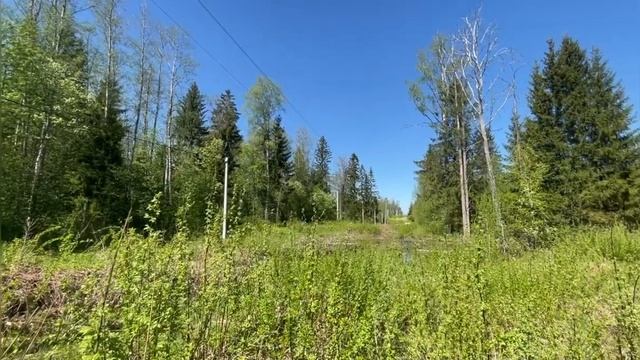 Участок 15 соток в 30-ти минутах от Кингисеппа смотреть онлайн