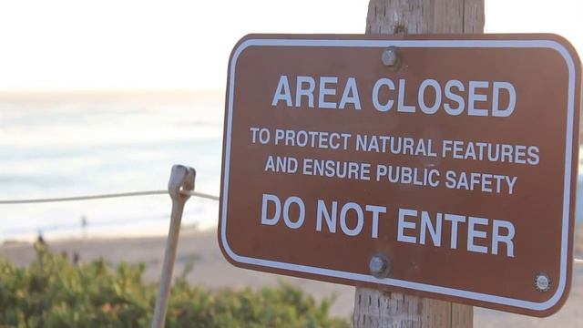 SC promo 1 смотреть онлайн