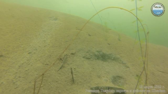 2019_03_03 - Разведка Голубого карьера и дайвинг на "Швабию" смотреть онлайн