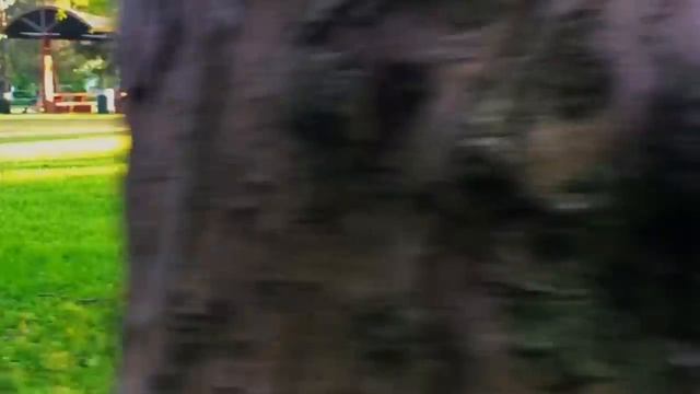 Kira Kosarin - Loving You Silently [from The Park]