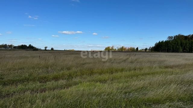 11518436 смотреть онлайн