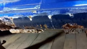 КАК НЕ СТОИТ РЕМОНТИРОВАТЬ ПОРОГ .