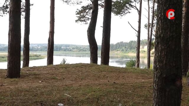 Красота спасет мир! смотреть онлайн