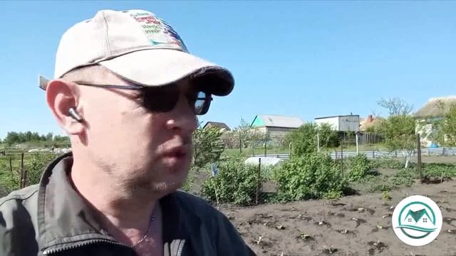 Выпуск #23 Высадка рассады в грунт. Сезон 2024 года. #табак смотреть онлайн