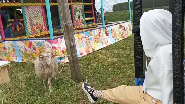 Сабантуй 2022.Подгорный Байлар.#диляра ,#сабантуй ,#Ришат Тухватуллин,#деревня ,#сладкаявата смотреть онлайн