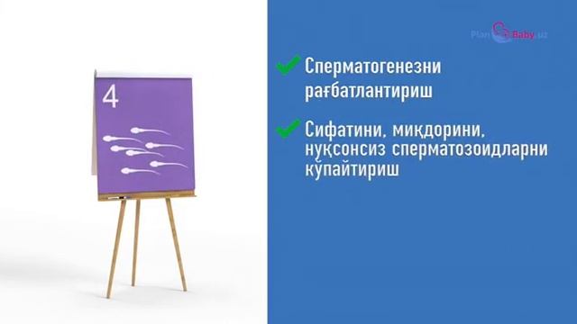 SPEROLIN VA MAMOLIN TO'G'RISIDA INFO