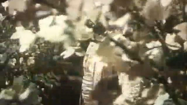 Запорожець за Дунаєм (04) смотреть онлайн