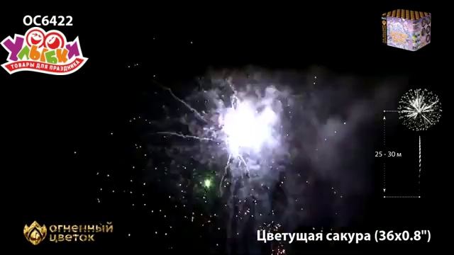 OC6422 Цветущая сакура смотреть онлайн