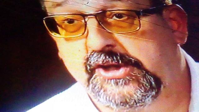 Игривые гепарды в зоопитомнике московского зоопарка.