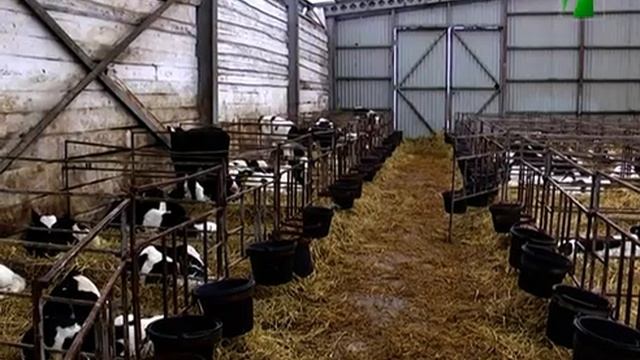 2021 08 14 Совещание ветеринаров по лейкозу КРС смотреть онлайн