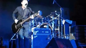 Звери - Пингвины