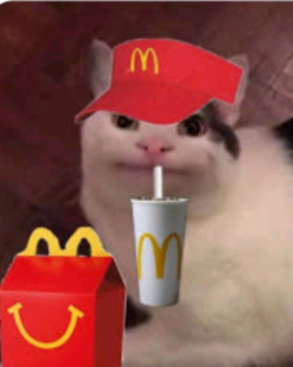 я играю в МК 11