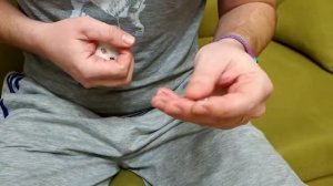 Как подрезать резцы хомяку?