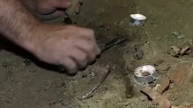 Розкопки поблизу с. Верхній Салтів (2010 р.) смотреть онлайн