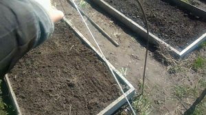 Томаты в открытом грунте.Очень важная подготовка грядки к посадке